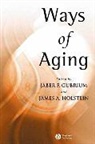 Gubrium, Jaber F. Holstein Gubrium, Jf Gubrium, GUBRIUM JABER F HOLSTEIN JAMES, Holstein, Jaber F Gubrium... - Ways of Aging