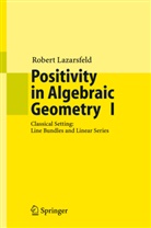 R K Lazarsfeld, R. K. Lazarsfeld, R.K. Lazarsfeld, Robert Lazarsfeld - Positivity in Algebraic Geometry - 1: Positivity in Algebraic Geometry I