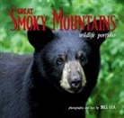 Lea, Bill Lea - Great Smoky Mountains Wildlife Portfolio