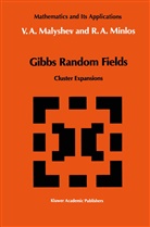 V Malyshev, V A Malyshev, V. A. Malyshev, V.A. Malyshev, R. A. Minlos, R.A. Minlos... - Gibbs Random Fields
