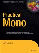 Mark Mamone - Practical Mono