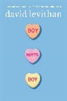 Levithan David, David Levithan - Boy Meets Boy