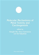 Vinc Castranova, Vince Castranova, William G. Perry, Xianglin Shi, Val Vallyathan, Val et Vallyathan... - Molecular Mechanisms of Metal Toxicity and Carcinogenesis