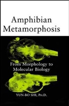 SHI, Yun-Bo Shi, SHI YUN BO - Amphibian Metamorphosis