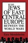 Ezra Mendelsohn, Mendelsohn Ezra - The Jews of East Central Europe Between the World Wars