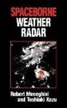 Toshiaki Kozu, R. Meneghini, Robert Meneghini, Robert/ Kozu Meneghini - Spaceborne Weather Radar