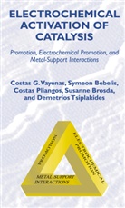Symeo Bebelis, Symeon Bebelis, Susanne Brosda, Costas Pliangos, Demetrios Tsiplakides, Constantinos G. Vayenas... - Electrochemical Activation of Catalysis