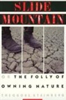 Theodore Steinberg - Slide Mountain