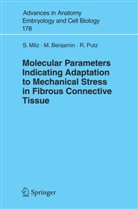 Michae Benjamin, Michael Benjamin, S. Milz, Stefa Milz, Stefan Milz, Reinhard Putz - Molecular Parameters Indicating Adaptation to Mechanical Stress in Fibrous Connective Tissue