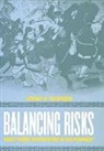 Jeffrey W. Taliaferro, TALIAFERRO JEFFREY W, Robert J. Art, Stephen M. Walt - Balancing Risks