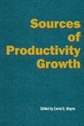 David G. Mayes - Sources of Productivity Growth