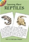 Activity Books, Jan Sovak, Jan Sovak, Jan Sovak - Learning About Reptiles