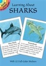 Activity Books, Sea Life, Sovak, Jan Sovak, Sovak Sovak - Learning About Sharks