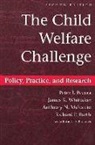 Richard P. Barth, Anthony N. Maluccio, Peter Pecora, Peter J Pecora, Peter J. Pecora, Petter J. Pecora... - The Child Welfare Challenge