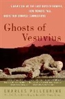 Charles Pellegrino, Charles R Pellegrino, Charles R. Pellegrino, Pellegrino Charles - Ghosts of Vesuvius