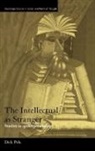 Dick Pels, Pels Dick - Intellectual As Stranger