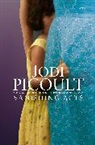 Jodi Picoult - Vanishing Act