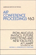 R. J. Peterson, D. D. Strottman - Pion-Nucleus Physics