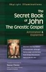 Stevan L. Davies - Secret Book of John