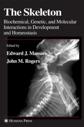 Edward J Massaro, Edward J. Massaro, John M Rogers, John M. Rogers - The Skeleton