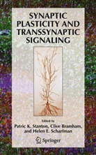 Patric K. Stanton, C. Bramham, Cliv Bramham, Clive Bramham, Helen E Scharfman, H. E. Scharfman... - Synaptic Plasticity and Transsynaptic Signaling