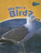 Greg Pyers - Why Am I a Bird?