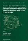 Barbara Jacak, Xin-Nian Wang - Quarkonium Production in High-Energy Nuclear Collisions, Proceedings of the Rhic/Int 1998 Winter Workshop