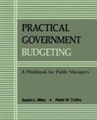 Peter W Colby, Peter W. Colby, Susan L Riley, Susan L. Riley - Practical Government Budgeting