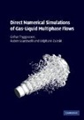 R. Scardovelli, Ruben Scardovelli, Scardovelli Ruben, G. Tryggvason, Gretar Tryggvason, Grétar Tryggvason... - Computational Methods for Drops Bubbles and Interfaces