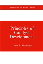 James T Richardson, James T. Richardson - Principles of Catalyst Development