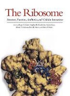 Anders Liljas, Stephen R. Douthwate, Roger A. Garrett, Alistair T. Matheson - The Ribosome: Structure, Function, Antibiotics, and Cellular Interactions