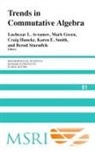 Luchezar Green Avramov, Luchezar L. Green Avramov, AVRAMOV LUCHEZAR GREEN MARK CRAI, Luchezar L. Avramov, Mark Green, Craig Huneke - Trends in Commutative Algebra