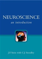 J Stein, J F Stein, J. F. Stein, J. F. (University of Oxford Stein, J. F. Stoodley Stein, John Stein... - Neuroscience