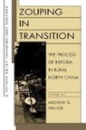 Andrew G. Walder, Andrew G. Walder - Zouping in Transition