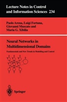 P. Arena, Paol Arena, Paolo Arena, L. Fortuna, Luig Fortuna, Luigi Fortuna... - Neural Networks in Multidimensional Domains