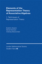 I. Assem, I. Skowronski Assem, Ibrahim Assem, D. Simson, Daniel Simson, A. Skowronski... - Elements of the Representation Theory of Associative Algebras: Vol. 1