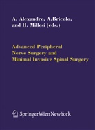 A. Alexandre, Alberto Alexandre, A. Bricolo, Albin Bricolo, Albino Bricolo, Hanno Millesi - Advanced Peripheral Nerve Surgery and Minimal Invasive Spinal Surgery