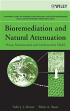 Alvarez, Pedro Alvarez, Pedro J Alvarez, Pedro J J Alvarez, Pedro J. Alvarez, Pedro J. Illman Alvarez... - Bioremediation and Natural Attenuation