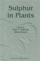 Y. P. Abrol, Y.P. Abrol, Ahmad, Ahmad, A. Ahmad, P Abrol... - Sulphur in Plants