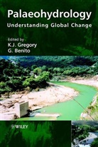 G. Benito, K. J. Gregory, K. J. (University of Southampton Gregory, K. J. Benito Gregory, K.j. Benito Gregory, Kj Gregory... - Palaeohydrology