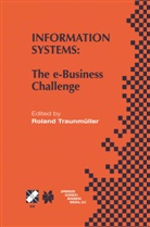 Roland Traunmueller, Roland Traunmüller - Information Systems
