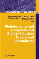 Vincen Carey, Vincent Carey, Vincent J. Carey, Sandrine Dudoit, Robert Gentleman, Wolfgang Huber... - Bioinformatics and Computational Biology Solutions Using R and Bioconductor