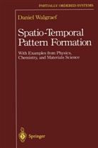 Daniel Walgraef - Spatio-Temporal Pattern Formation