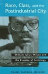 Frank Harold Wilson - Race, Class, and the Postindustrial City
