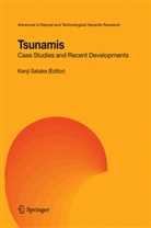 Kenj Satake, Kenji Satake - Tsunamis