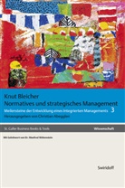 Knut Bleicher, Christia Abegglen, Christian Abegglen - Normatives und strategisches Management