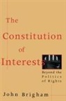 John Brigham, Diane Rubenstein - The Constitution of Interests