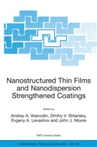 Andrey A. Voevodin, Evgeny A Levashov et al, Evgeny A. Levashov, John J. Moore, Dmitry V. Shtansky, Dmitr V Shtansky... - Nanostructured Thin Films and Nanodispersion Strengthened Coatings