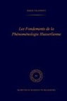 S Valdinoci, S. Valdinoci - Les fondements de la phénoménologie Husserlienne
