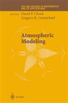 Patricia Brick, Gregory R. Carmichael, David P. Chock, Gregor R Carmichael, Gregory R Carmichael - Atmospheric Modeling